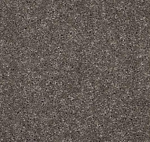 Ковролин AW Invictus Atticus Atticus 49 фото 1 | FLOORDEALER